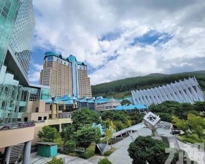 財務收益推動表現亮眼