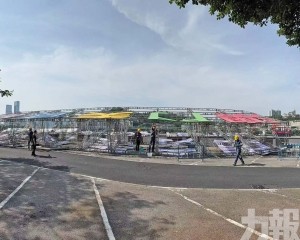 多車被砸中受損幸無人傷