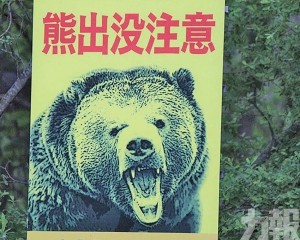 出動自衛隊真的有用？