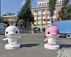 十五運吉祥物「大灣雞」爆火