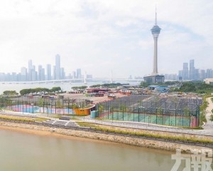 以球場功能為重點設「自由波地」