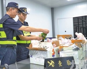 查獲74件疑似侵權泡泡瑪特玩偶