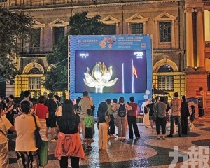 澳門11月中上旬賭收增長動能略放緩