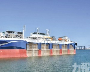 「湛江灣1號」海上牧場啟用