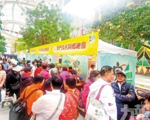 化橘紅產品創新營銷成焦點