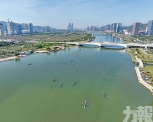 橫琴名校賽艇邀請賽本周末啟航