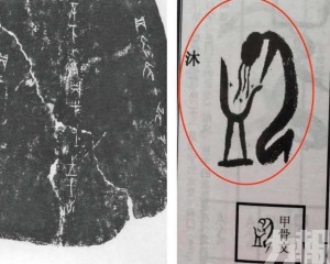 專家澄清非真文獻