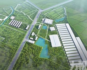 年供5.4萬噸鮮蛋支援灣區「菜籃子」