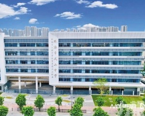 珠海鳳山中學試行「功課熔斷制」