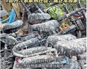 官方：家燕遷徙屬正常現象