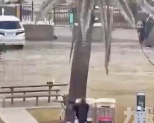 英勇市民徒手奪槍逼退槍手