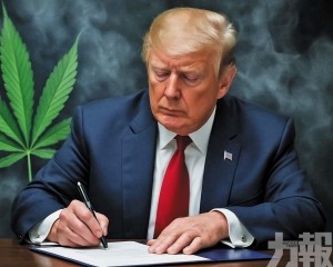 美國大麻概念股集體飆升