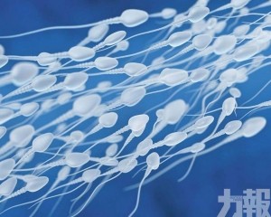 捐贈者致癌基因擴散14國近200人