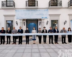 匯聚灣區非遺技藝 展現文化交流新活力