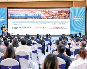 精準對接灣區龍頭企業