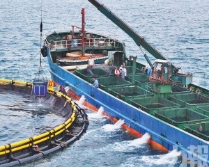 珠海「萬山金鯧魚」通過「灣區認證」