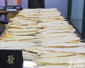 灣仔海關查獲瀕危物種製品