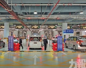 議員倡打破澳琴融合實質障礙