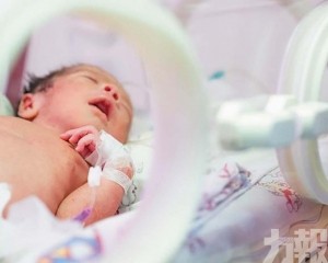 每名幼兒最高可領3,600元