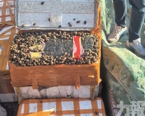 珠海警查獲涉嫌走私貨物案
