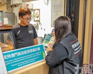 暫收逾500宗諮詢及13宗申請