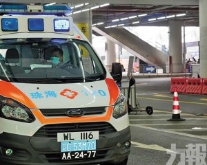 港珠澳大橋打造「生命綠色通道」