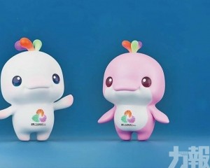 「大灣雞」周邊熱銷