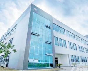 股價周三急升近14%