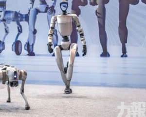 7月啟動首輪評價