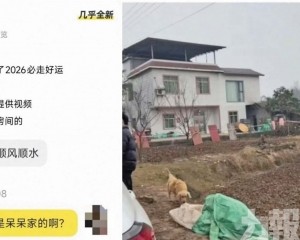 家門口泥土網上賣200元