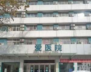 河南平頂山揭地下代孕黑幕