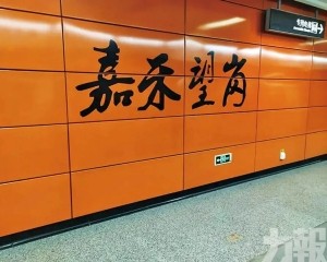 《嘉禾望崗》引發全網共鳴