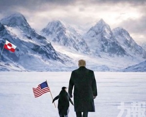 網群嘲：格陵蘭沒企鵝