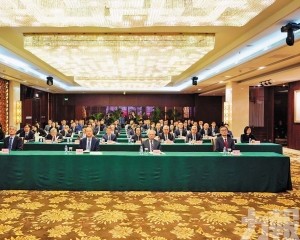 合力推進特區更好發展