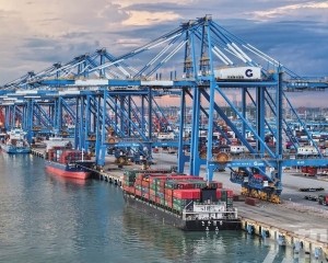 增速分化加劇 經濟大省承壓前行