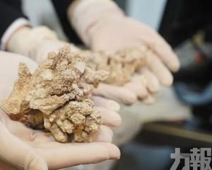 灣仔海關查獲合計重約472.9克