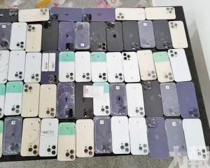 拱北口岸海關當場截查