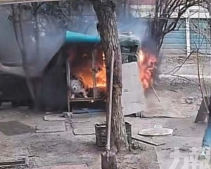 男童家長拒道歉：不就一條狗？