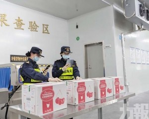 全程冷鏈48小時送達