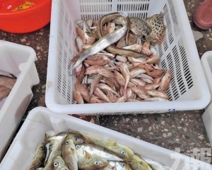 官方籲勿自行食用