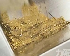 網民質疑「偷金」