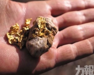 澳洲「金三角」業餘淘金客激增