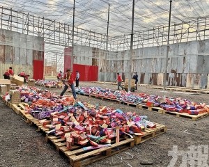 燃放區逾2.5萬人次入場