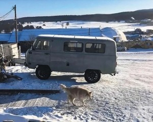 中國遊客擬取消行程