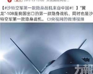 翼龍10B落戶沙特