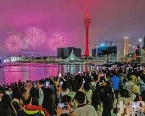 學者籲培育本土團隊促產業多元