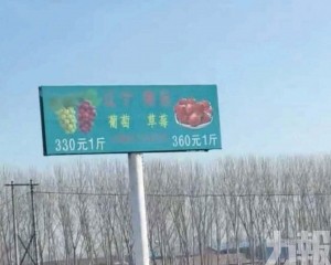 遼寧農企稱主打無農藥高端水果