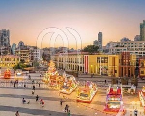 澳門新春日夜賞花行