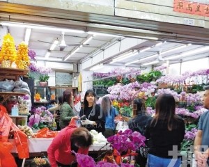 灣區花路繪就澳門年花情緣
