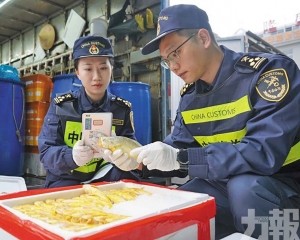 拱關保障逾2,800噸農食品順暢通關